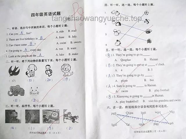 【四六级】英语备考攻略：掌握高效数据包技巧，轻松提升成绩